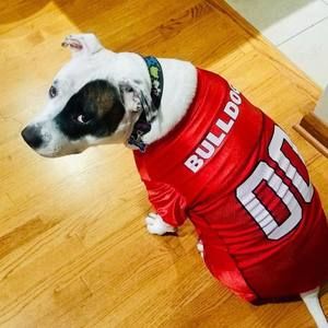 Meet your Posher, Cynthia